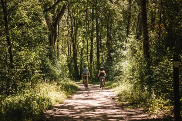 Bois de Vernaz