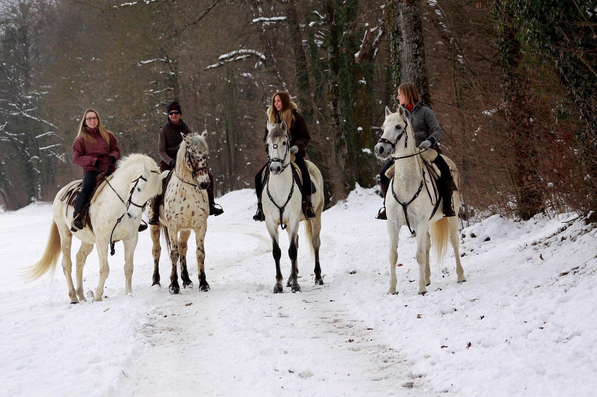 Bon cadeau : randonnée gourmande à cheval à Chevaline