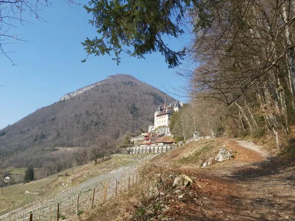 Boucle du Château de Menthon-Saint-Bernard