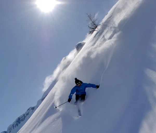 Encadrement Heliski