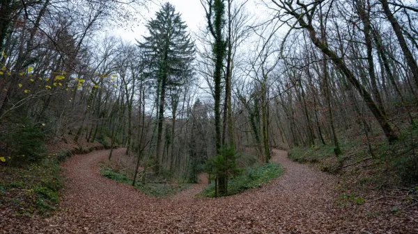 Boucle VTT du bois de ville