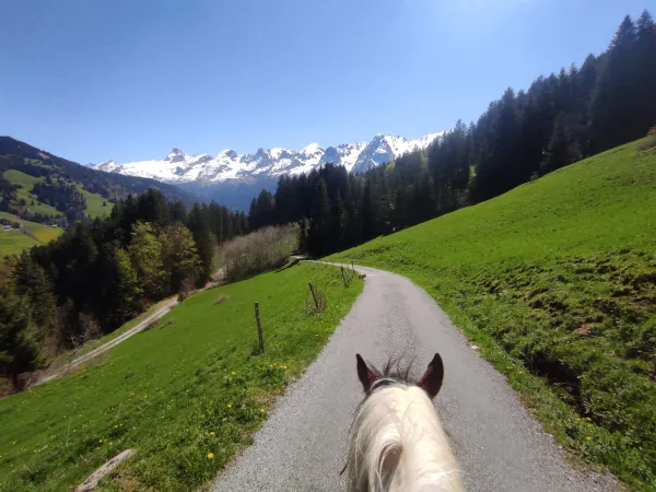 Balade à poney face à la chaîne des Aravis