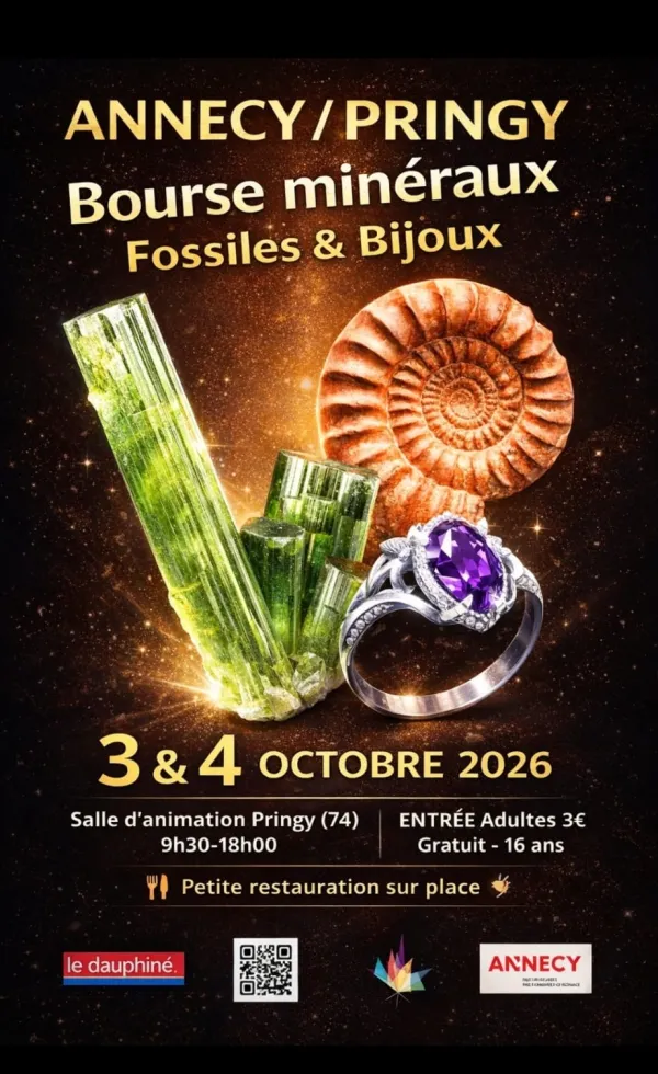 Bourse minéralogique avec fossiles et bijoux