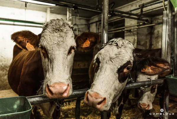 Boutique de la ferme Val Mont Blanc