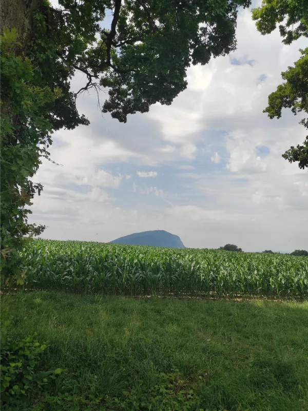 Escapade dans la campagne Suisse