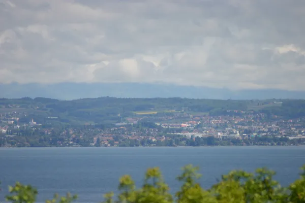 vue2
