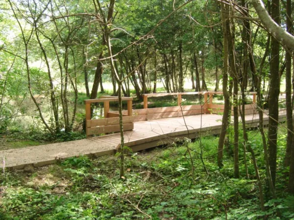 Etang de la Lèche
