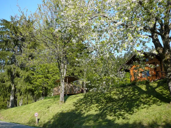 Camping Le Crêtoux