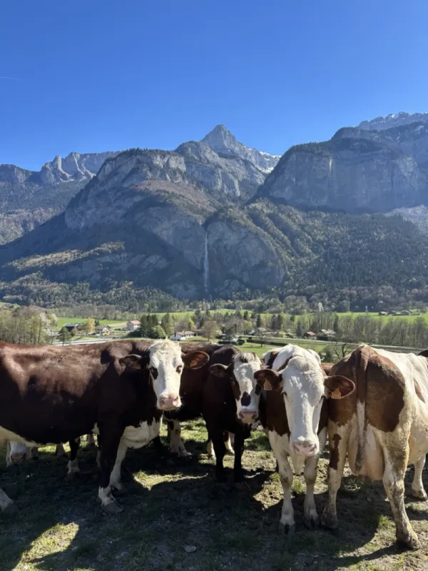 Ferme la Cascade_Sallanches
