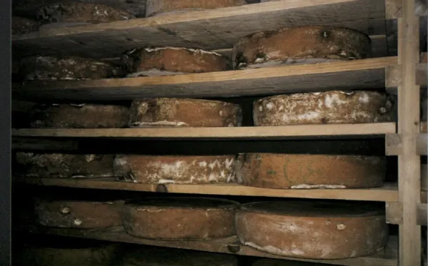 Ferme des Chalets d'Oche
