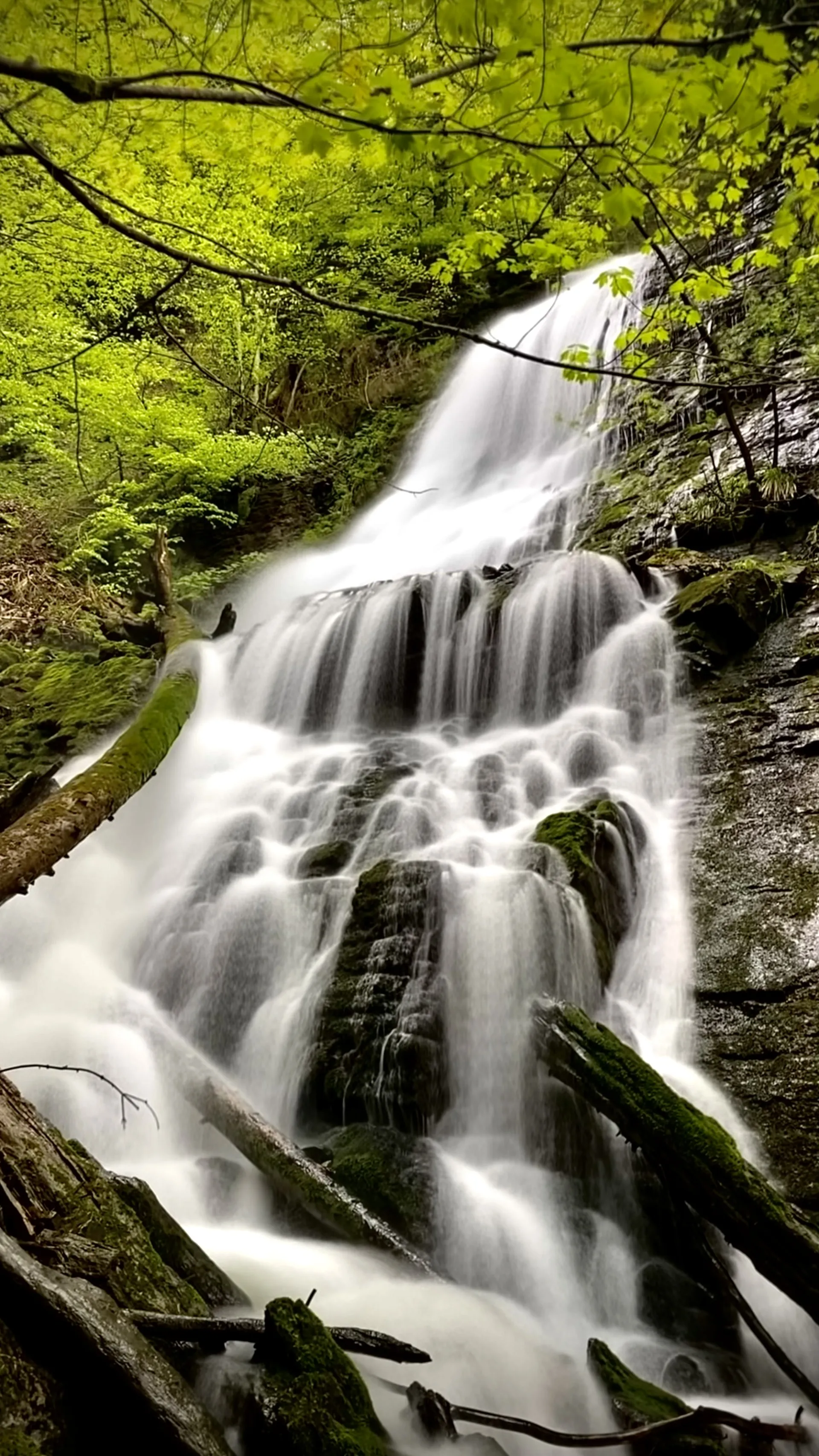 Chevaline en Haute-Savoie
