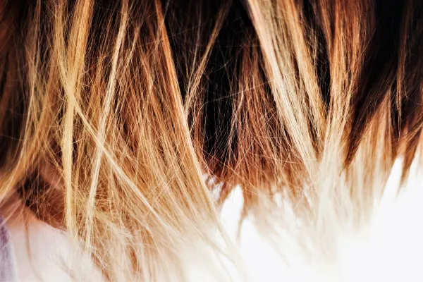 Cé dans l'Hair