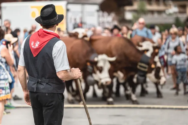 Foire agricole de la Saint-Maurice Le Grand-Bornand