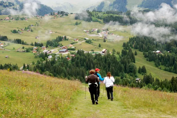 Fitness, Marche nordique