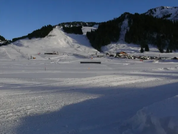 Chalet - 75m² - n°701_Mieussy