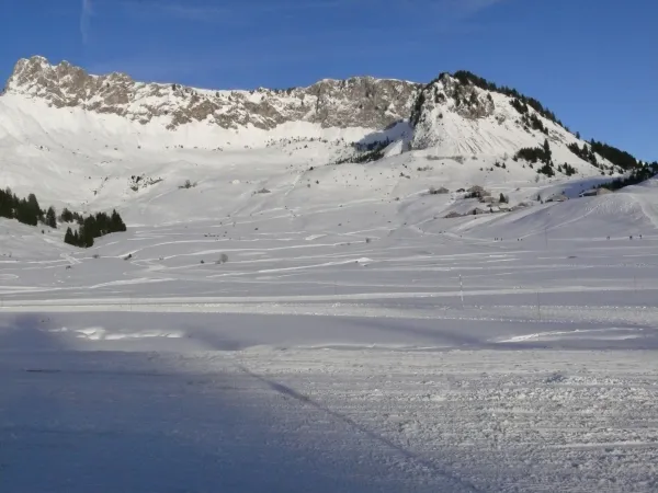 Chalet - 75m² - n°701_Mieussy