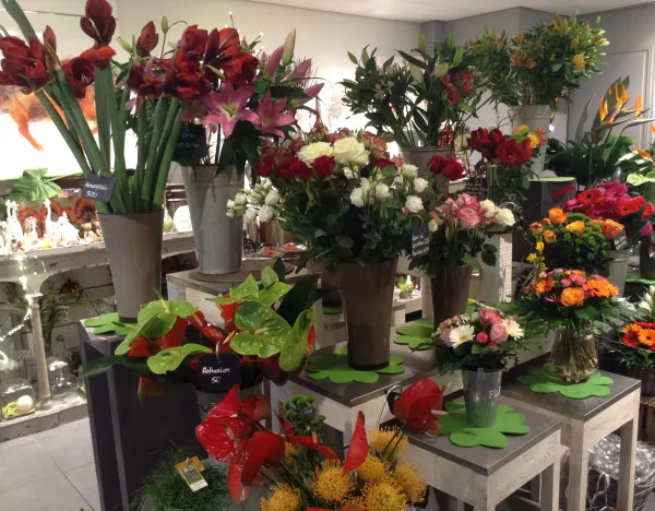 Fleurazur_interieur
