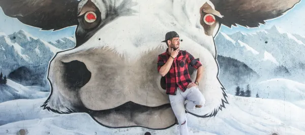 Art vache