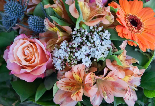 Floratiges