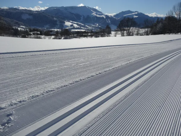 pistes tracées avec vue sur la montagne d'Hirmentaz et Habère-Poche