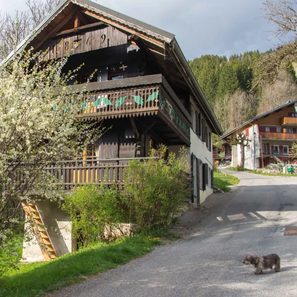 Chalet indépendant "Chadèle" - 91m² - 3 chambres - Monvoisin Hervé