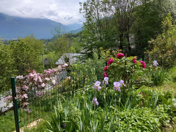 Vue sur la vallée 
