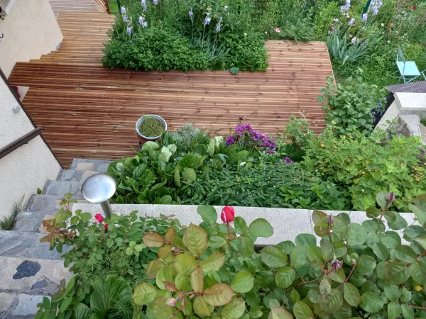 Terrasse en bois