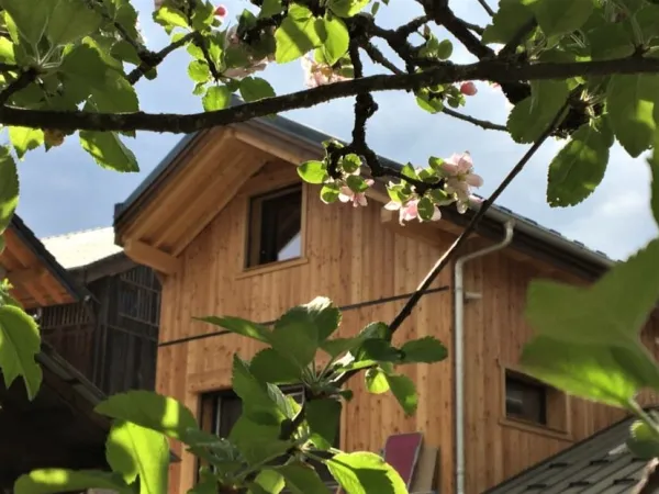 Chalet Le Kern - Siega Tanniou