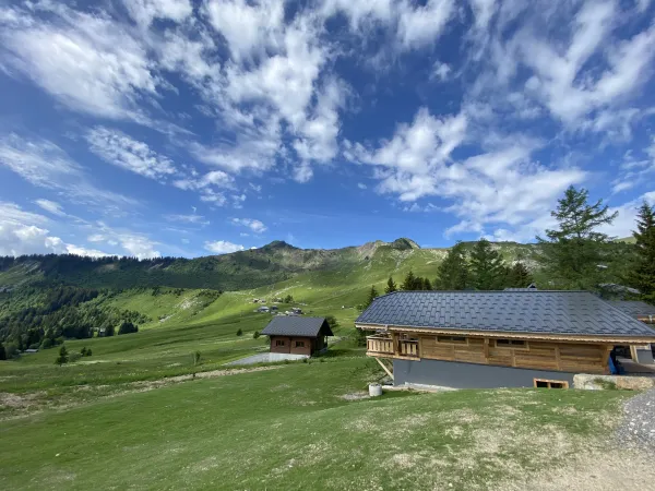 Chalet Panoramique