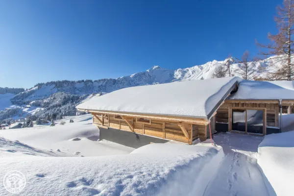 Chalet Panoramique