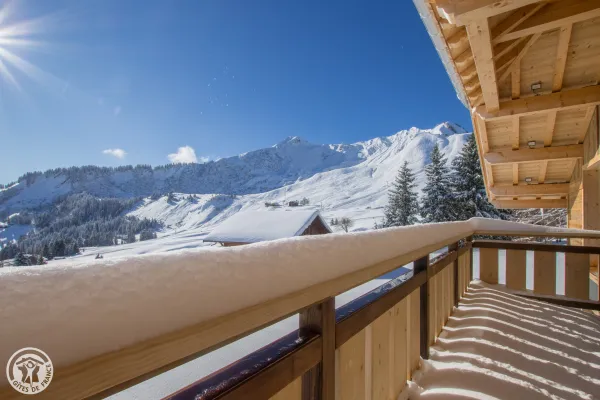 Chalet Panoramique