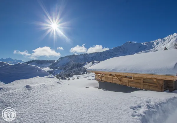 Chalet Panoramique