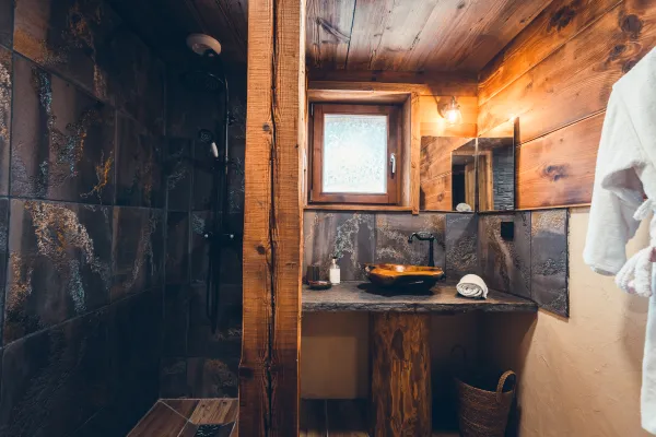 Salle bains avec douche, vasque, décoration bois et pierres