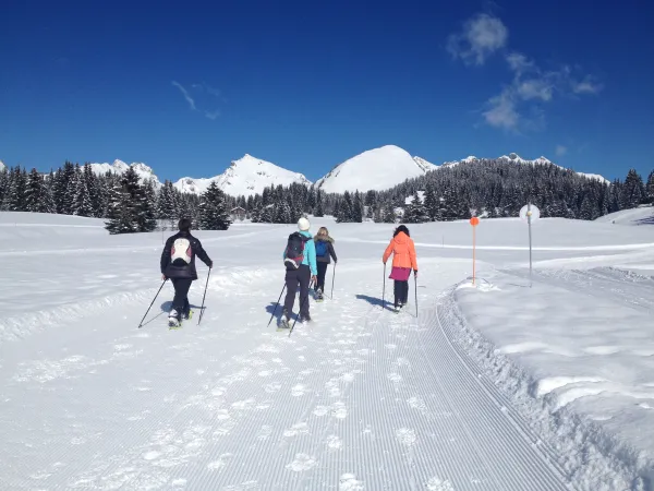 Initiation hivernale au Nordic Walking
