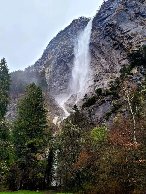Cascade
