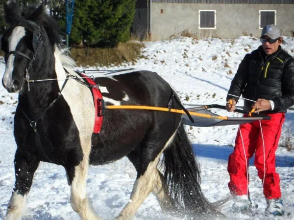 Initiation au ski Joering