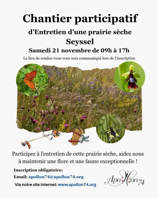 Chantier nature participatif entretien de praires
