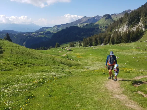 Itinéraire pédestre : Boucle de Chalet Blanc