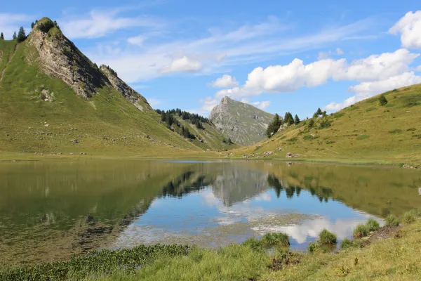 Itinéraire pédestre : Le Lac de Roy