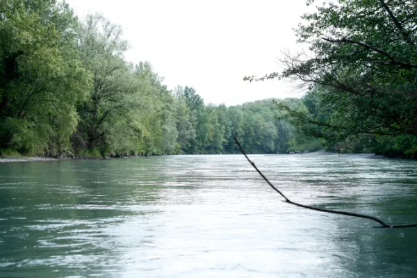 Itinéraire pédestre : les bords de l'Arve - De Gaillard à Arthaz