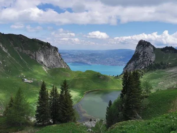 Itinéraire pédestre : Lac de Lovenex