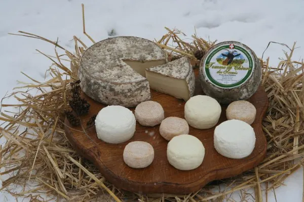 Plateau assortiment de fromages de chèvre