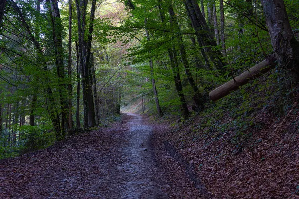 Chemin de Châtillon-sur-Cluses à Cluses