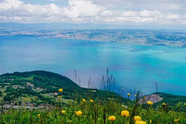 Circuit n°14 Le sommet des Mémises - VTT FFC pays d'Evian balcon du Léman