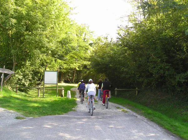 Circuit 2 - Les Vergers (Centre VTT-FFC de l'Albanais)