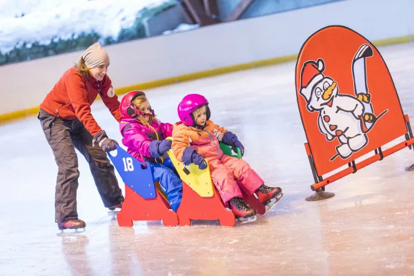 Jardin de glace