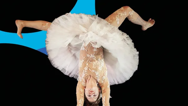 Cirque chorégraphié - "Le Lac des Cygnes"