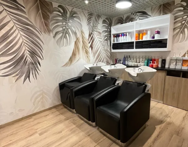 fauteuils shampooing
