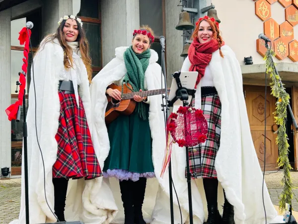 Concert : Littlewood Christmas