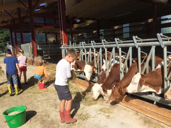 GAEC Savoie Gascogne : ferme pédagogique la ferme de Marin